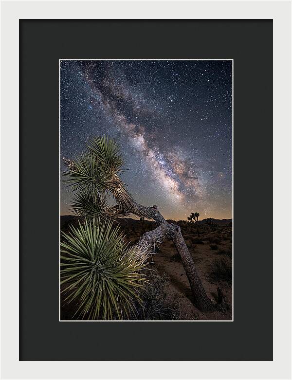 Galactic Dreams Above Joshua Tree