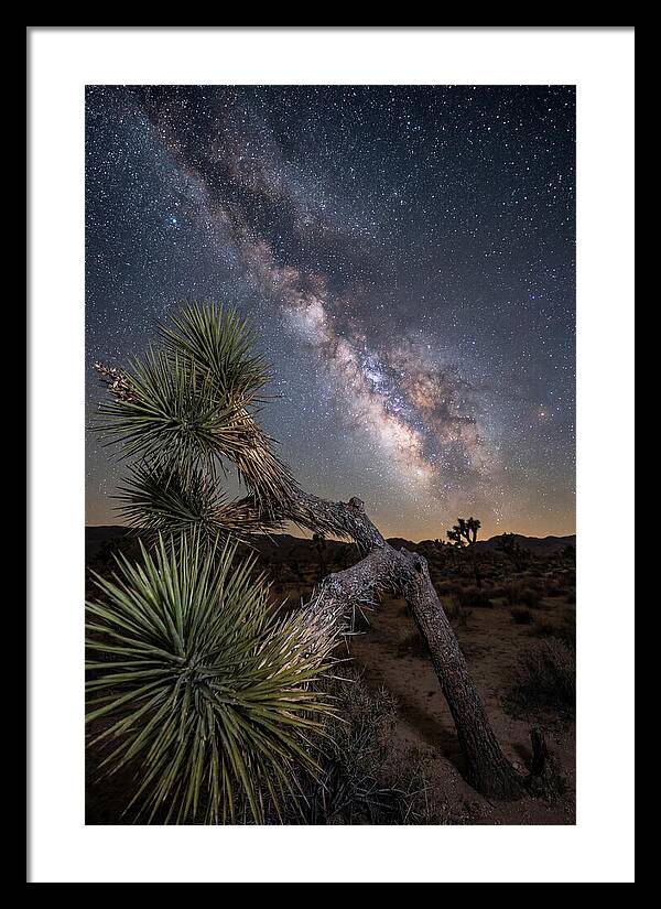 Galactic Dreams Above Joshua Tree