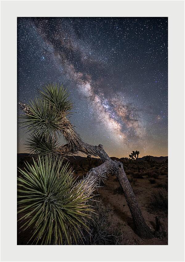 Galactic Dreams Above Joshua Tree