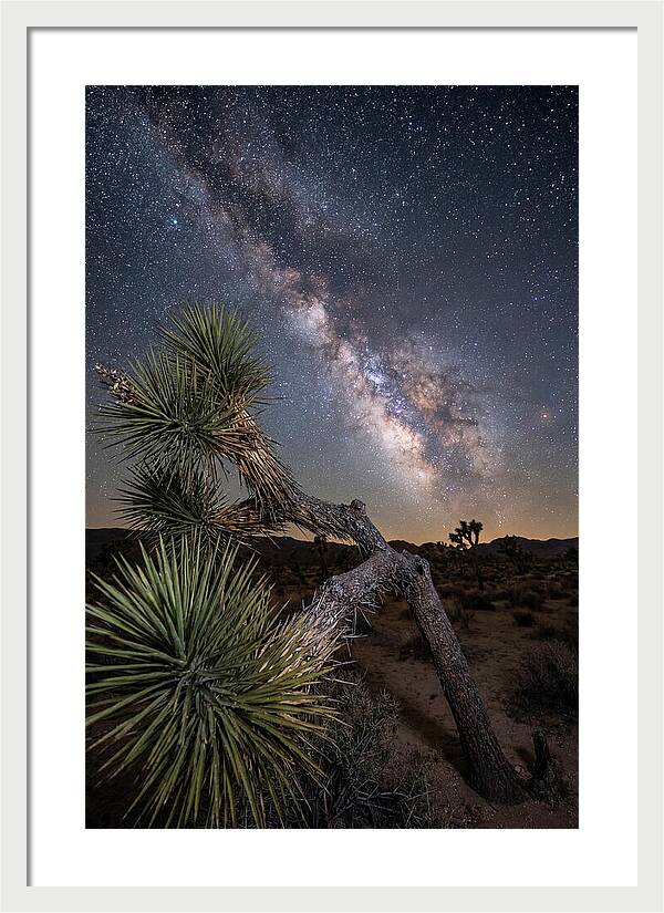 Galactic Dreams Above Joshua Tree