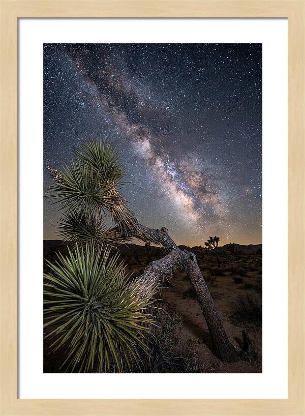 Galactic Dreams Above Joshua Tree