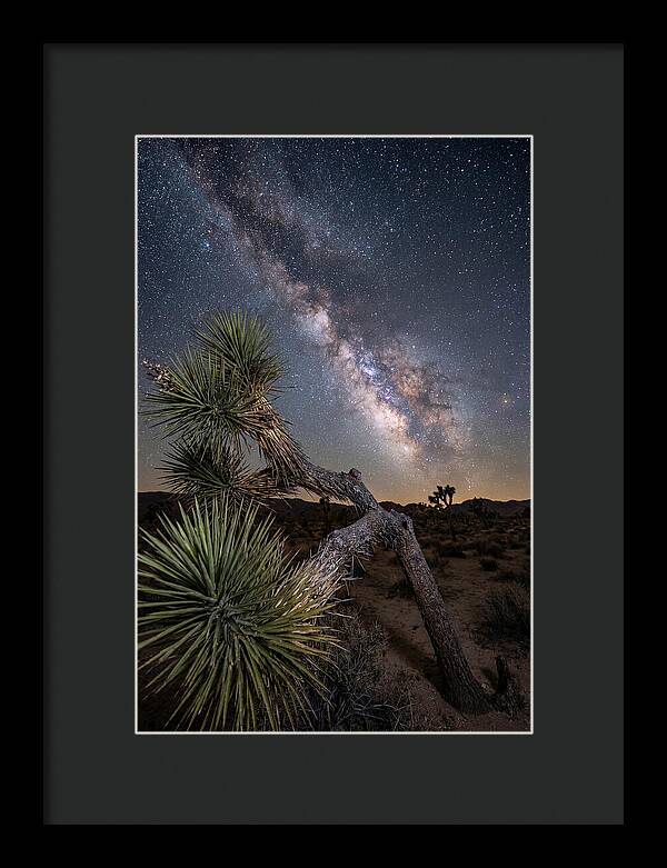 Galactic Dreams Above Joshua Tree