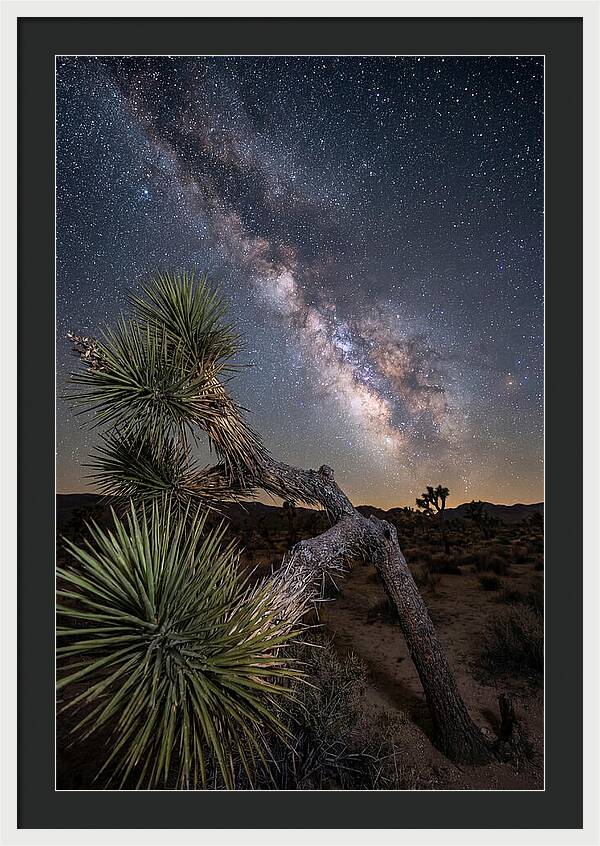 Galactic Dreams Above Joshua Tree