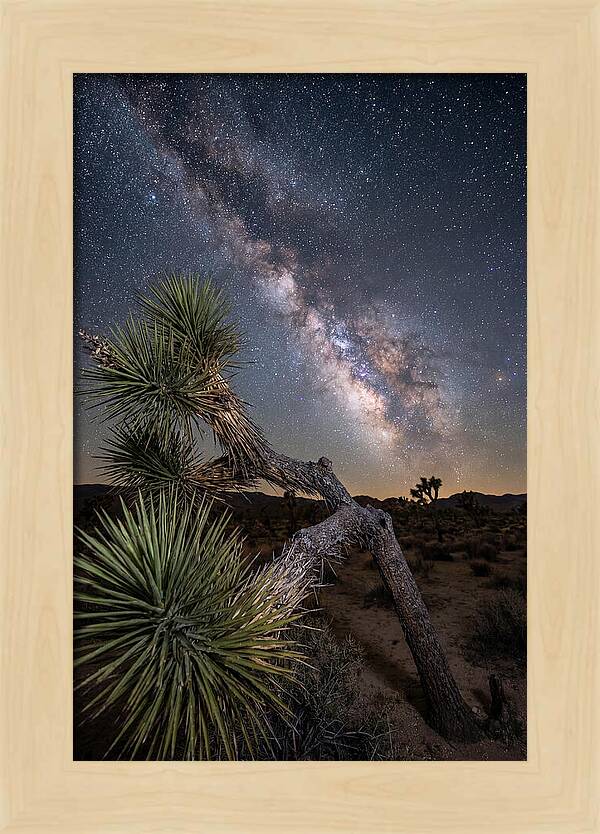Galactic Dreams Above Joshua Tree