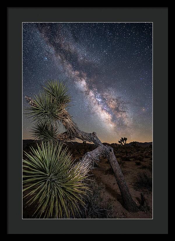 Galactic Dreams Above Joshua Tree