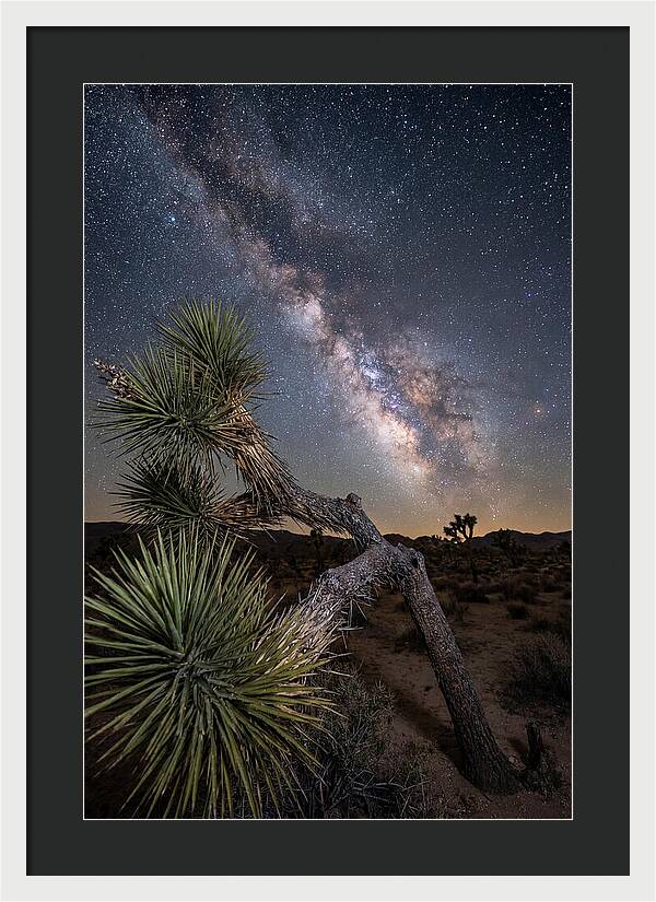 Galactic Dreams Above Joshua Tree