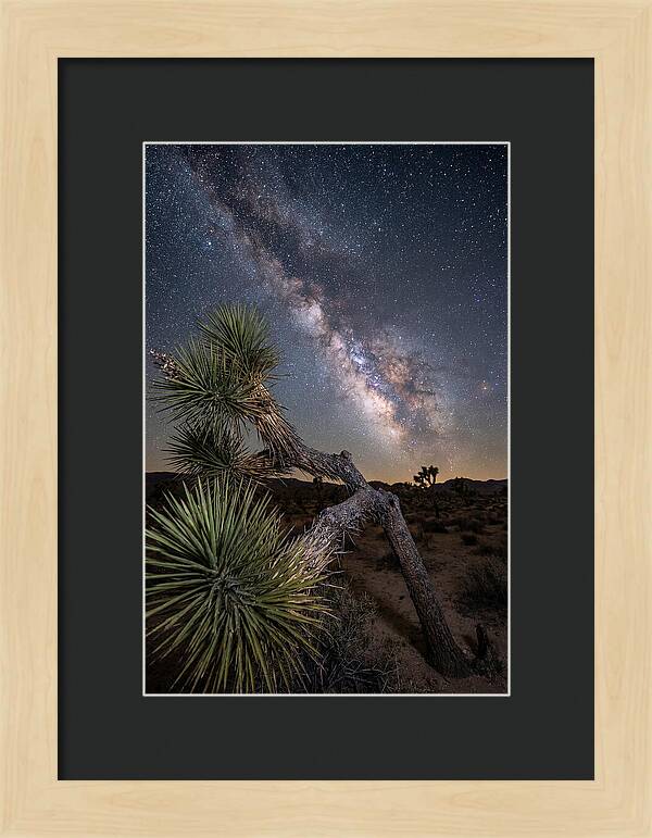 Galactic Dreams Above Joshua Tree