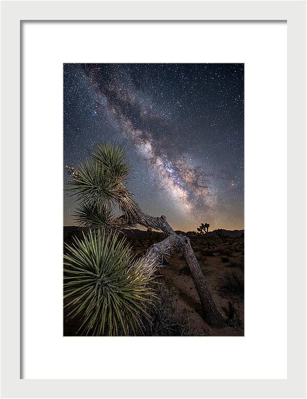 Galactic Dreams Above Joshua Tree