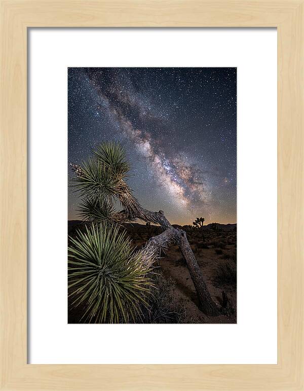 Galactic Dreams Above Joshua Tree