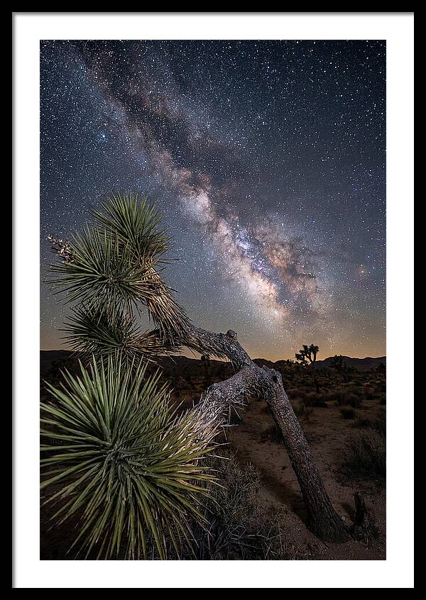 Galactic Dreams Above Joshua Tree
