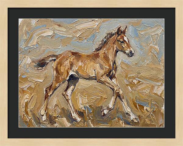 Galloping Foal In Motion