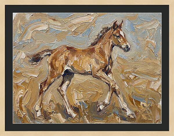 Galloping Foal In Motion