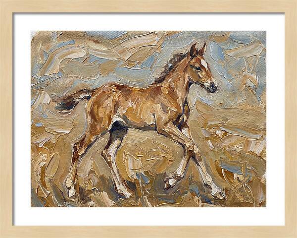 Galloping Foal In Motion