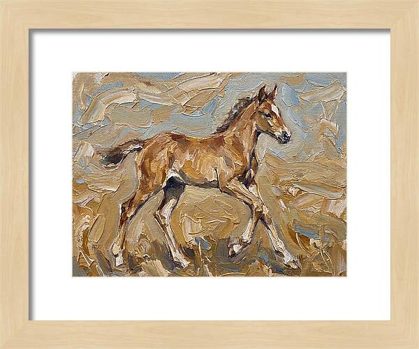 Galloping Foal In Motion