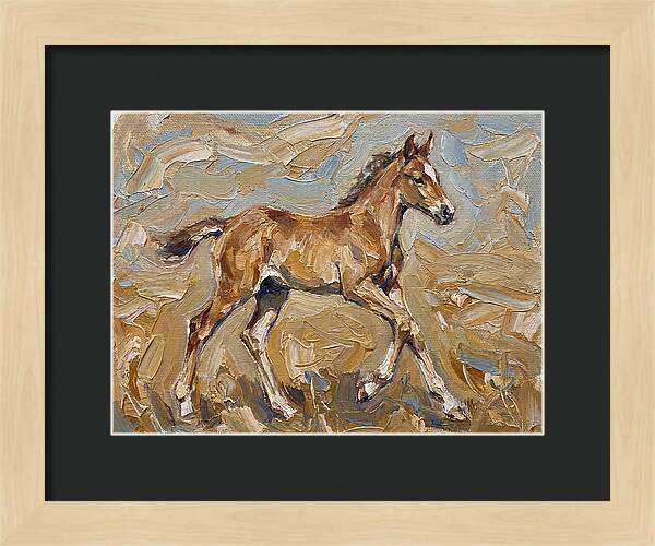 Galloping Foal In Motion