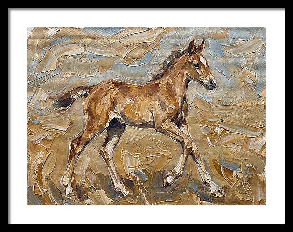 Galloping Foal In Motion