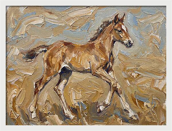 Galloping Foal In Motion