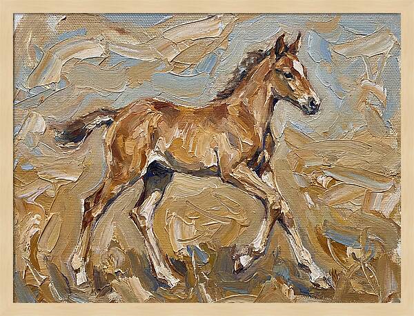 Galloping Foal In Motion