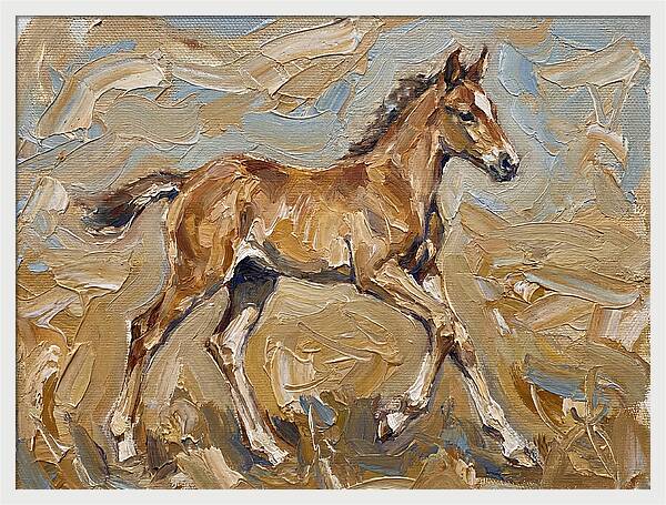 Galloping Foal In Motion