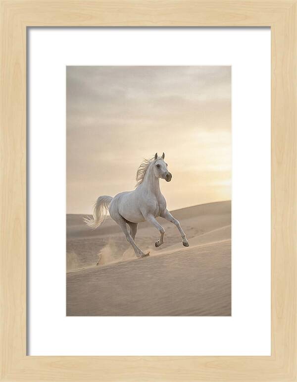Galloping White Arabian Horse