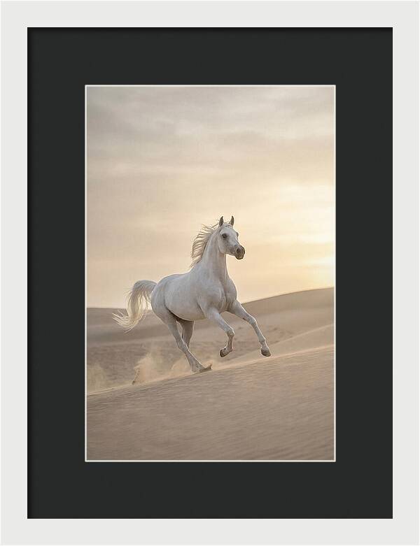 Galloping White Arabian Horse
