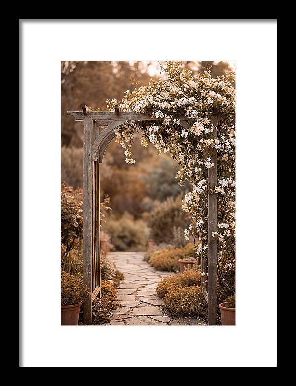Garden Arch Adorned With Jasmine