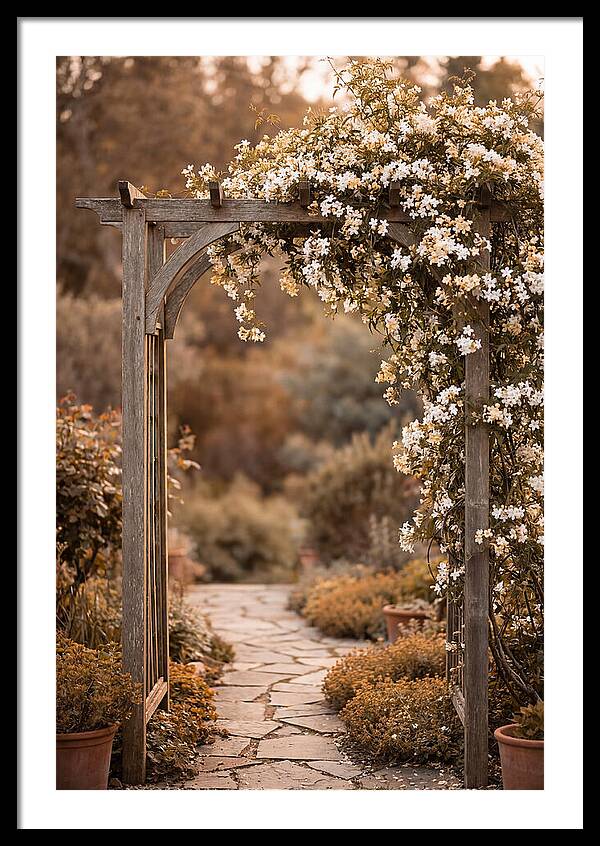 Garden Arch Adorned With Jasmine