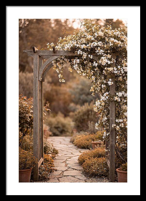 Garden Arch Adorned With Jasmine