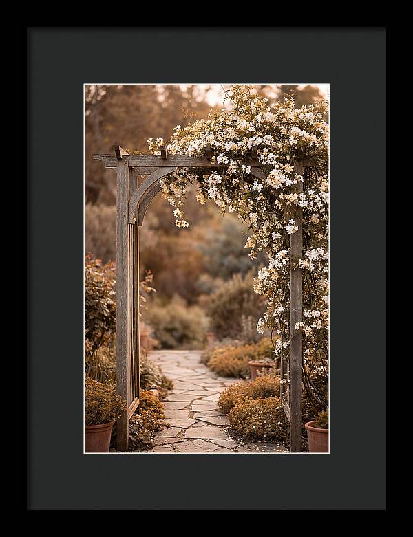 Garden Arch Adorned With Jasmine