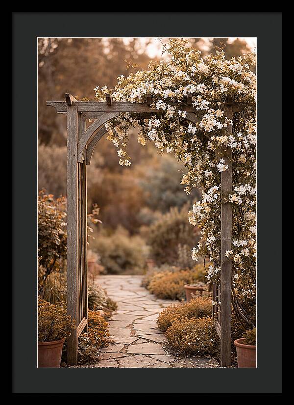 Garden Arch Adorned With Jasmine