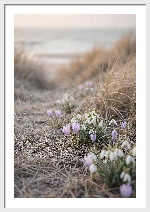 Garden Awakening With First Crocus