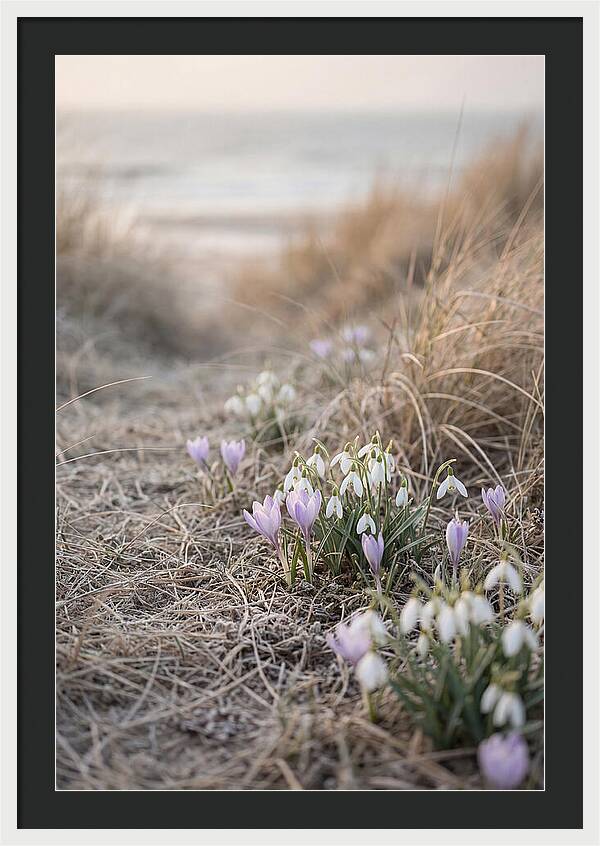Garden Awakening With First Crocus