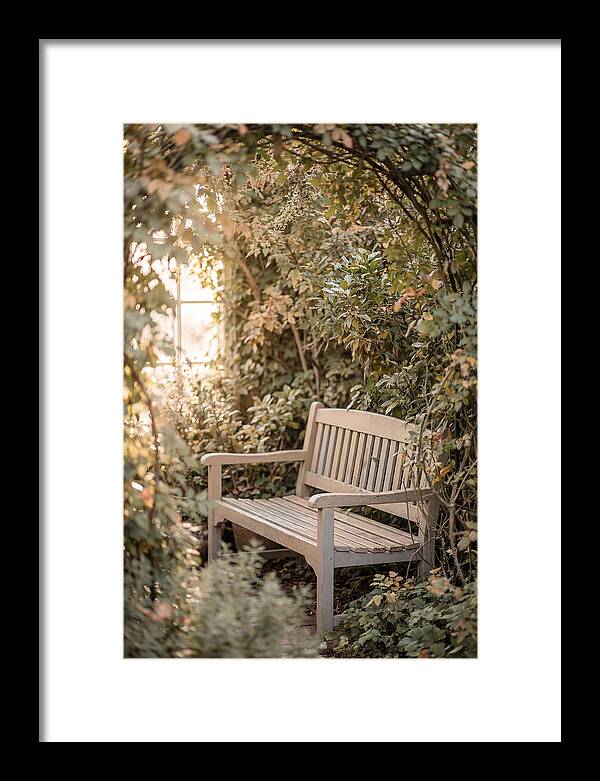 Garden Bench Nestled In Greenery