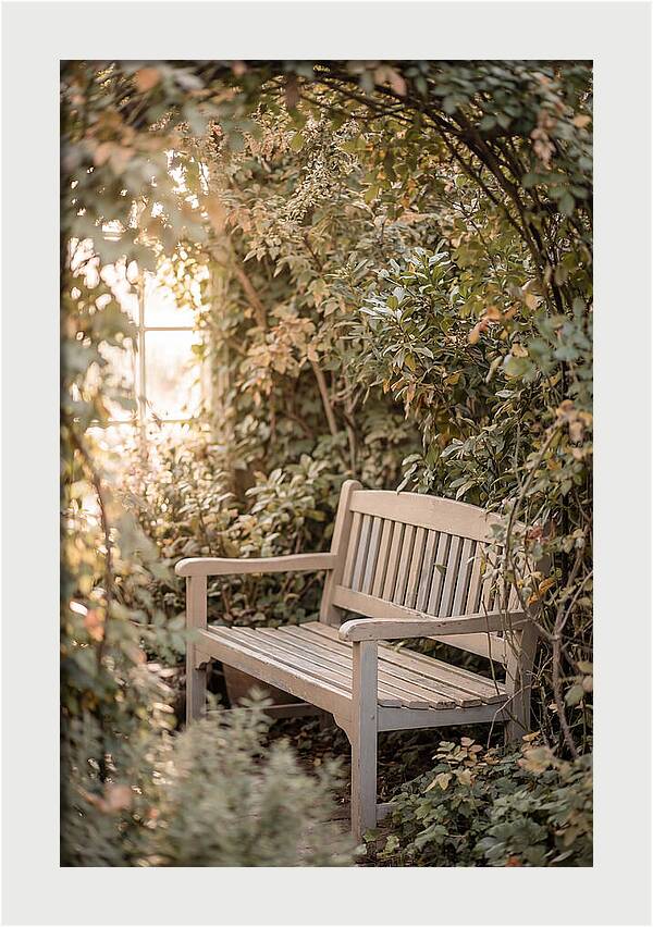 Garden Bench Nestled In Greenery
