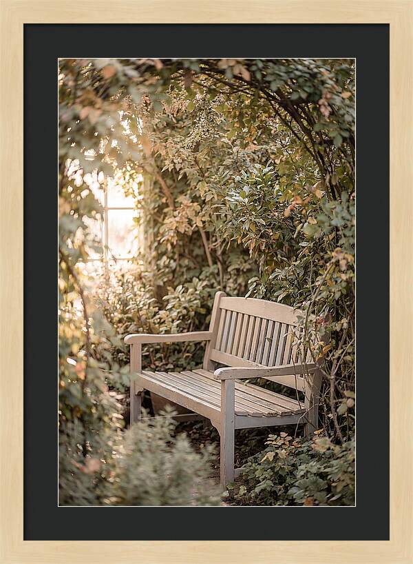 Garden Bench Nestled In Greenery