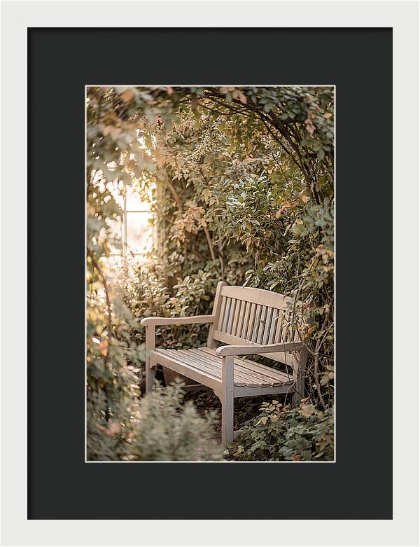 Garden Bench Nestled In Greenery