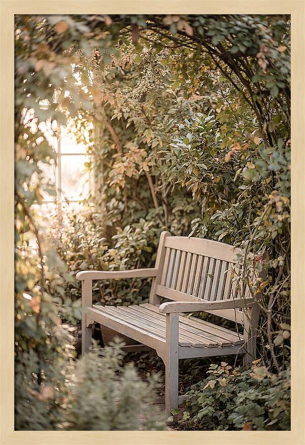 Garden Bench Nestled In Greenery