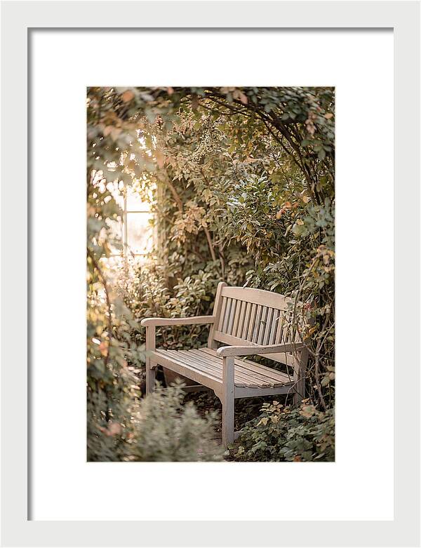 Garden Bench Nestled In Greenery