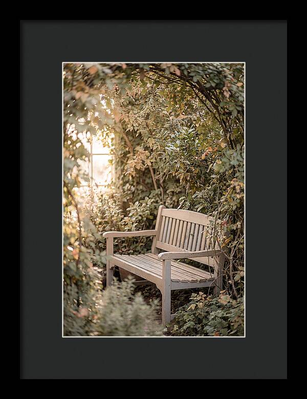 Garden Bench Nestled In Greenery
