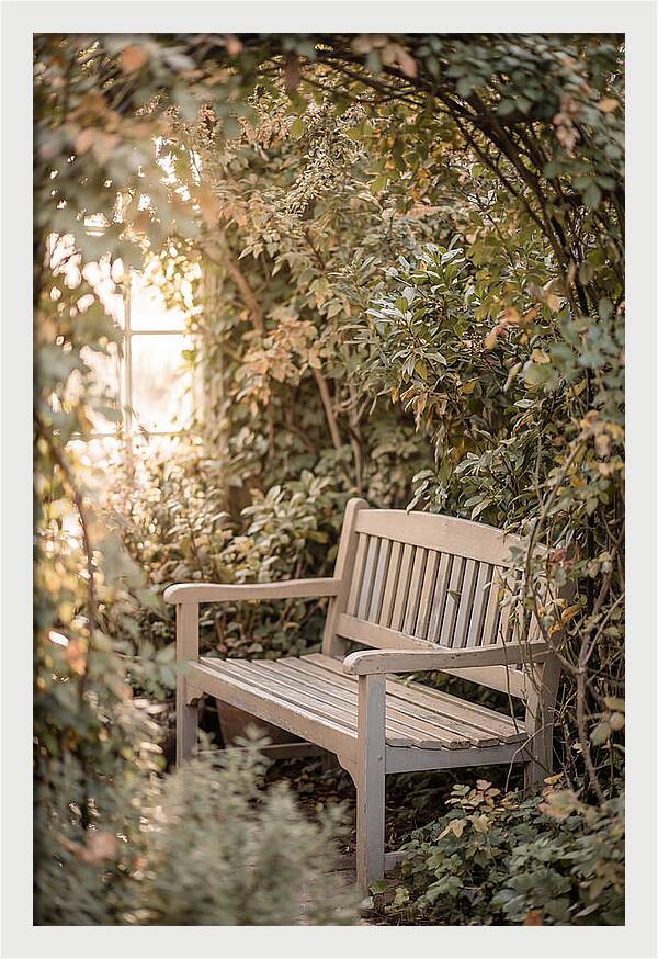 Garden Bench Nestled In Greenery