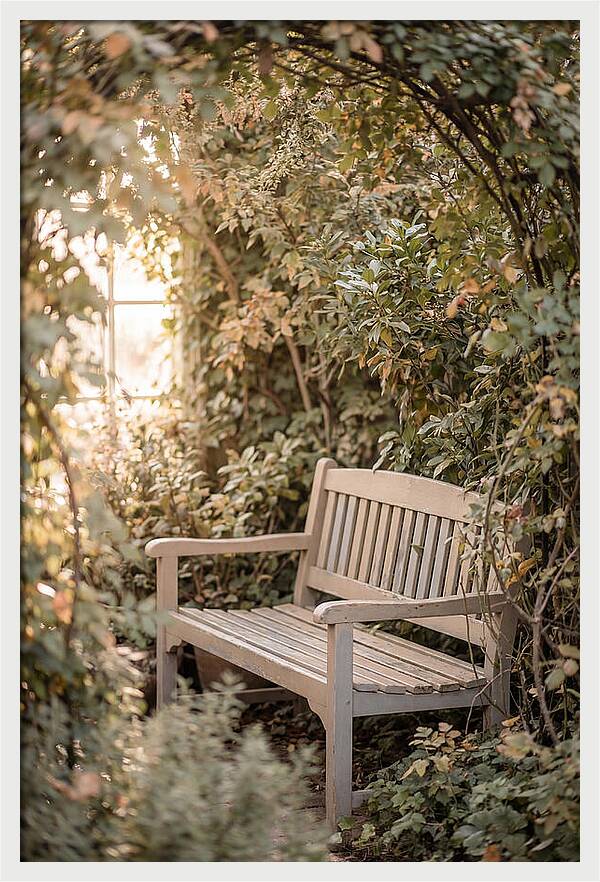 Garden Bench Nestled In Greenery