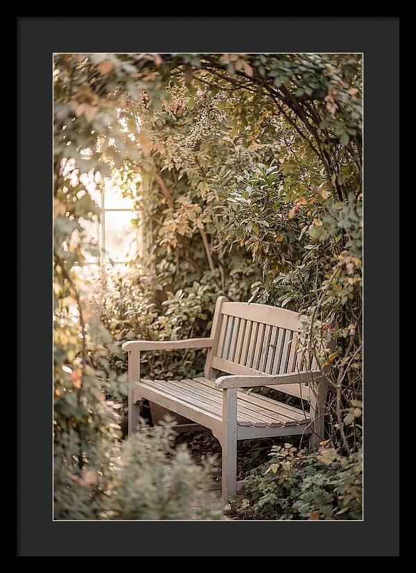 Garden Bench Nestled In Greenery