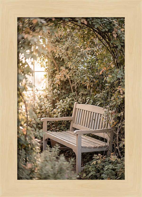Garden Bench Nestled In Greenery