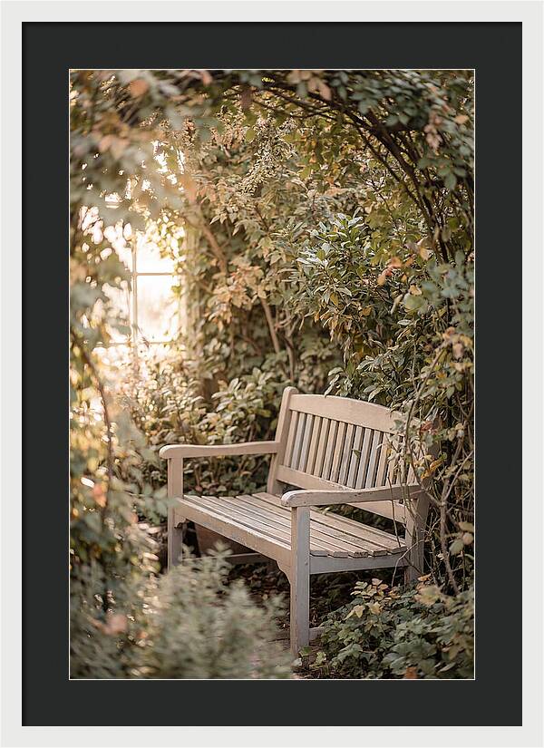Garden Bench Nestled In Greenery