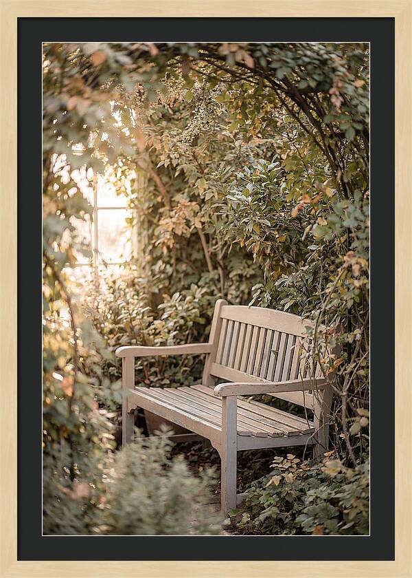 Garden Bench Nestled In Greenery
