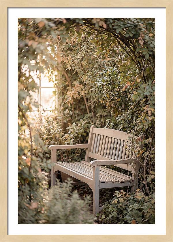 Garden Bench Nestled In Greenery