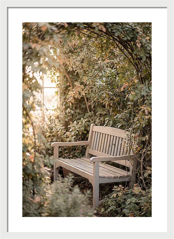 Garden Bench Nestled In Greenery