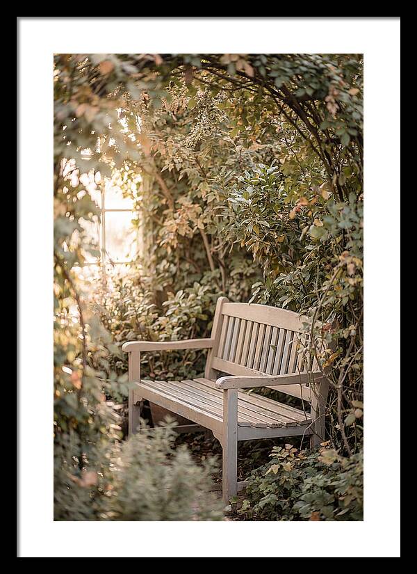 Garden Bench Nestled In Greenery
