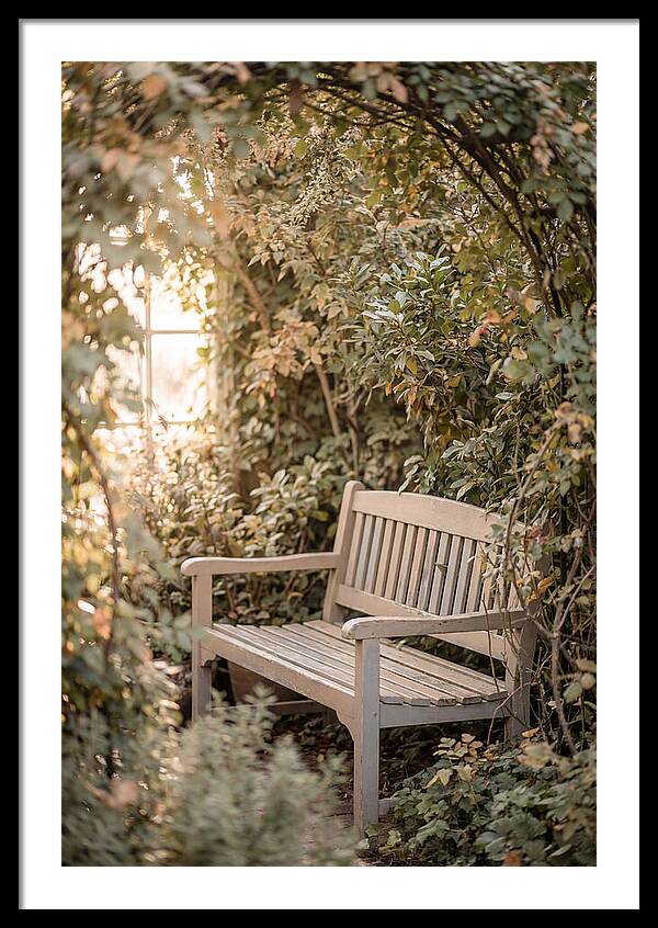 Garden Bench Nestled In Greenery