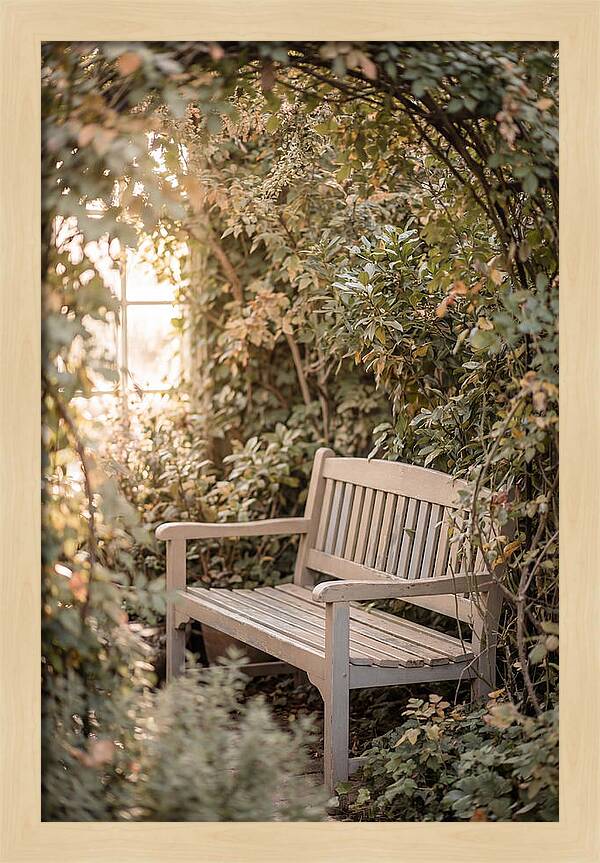 Garden Bench Nestled In Greenery